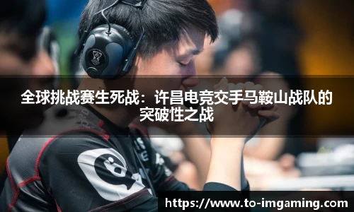 IM电竞官方网站