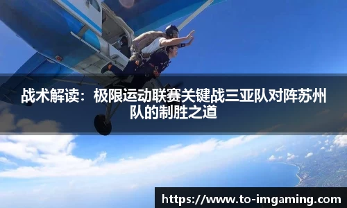 IM电竞官方网站