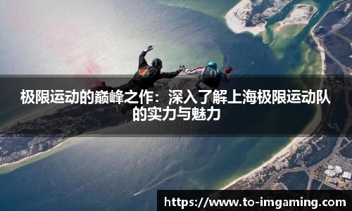 IM电竞官方网站